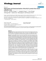 Báo cáo khoa học: 