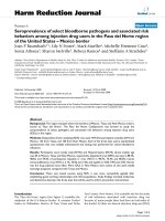 báo cáo khoa học: 