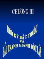 Bài giảng điện tử môn lịch sử: thời ký bắc thuộc potx