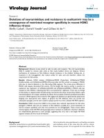 Báo cáo khoa học: 