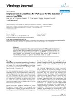 Báo cáo khoa học: 