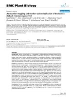 báo cáo khoa học: 