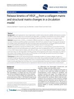 báo cáo khoa học: 