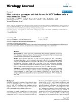 Báo cáo khoa học: 