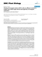 báo cáo khoa học: 