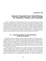 BIOGEOCHEMICAL, HEALTH, AND ECOTOXICOLOGICAL PERSPECTIVES ON GOLD AND GOLD MINING - CHAPTER 12 pot