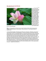 Diệu nghĩa Hoa sen trong Phật giáo pptx