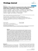 Báo cáo khoa học: 