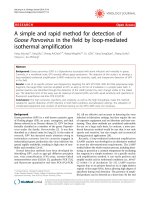 Báo cáo khoa học: 