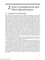 Cyanobacterial Toxins of Drinking Water Supplies: Cylindrospermopsins and Microcystins - Chapter 2 pot