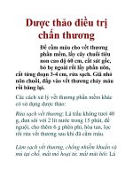 Dược thảo điều trị chấn thương pdf