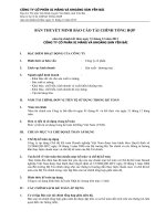 bản thuyết minh báo cáo tài chính tổng hợp năm tài chính kết thúc ngày 31 tháng 12 năm 2013 công ty cổ phần xi măng và khoáng sản yên bái