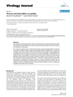 Báo cáo khoa học: 