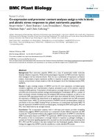 báo cáo khoa học: 