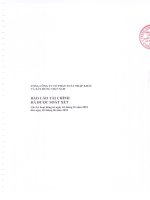 tổng công ty cổ phần xuất nhập khẩu xây dựng việt nam vinaconex báo cáo tài chính đã được soát xét  cho kỳ hoạt động  từ ngày 1 tháng 1 năm 2010 đến ngày 30 tháng 6 năm 2010