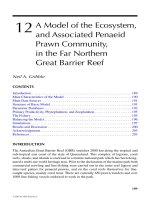 OCEANOGRAPHIC PROCESSES OF CORAL REEFS: Physical and Biological Links in the Great Barrier Reef - Chapter 12 pot