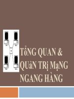 Bài giảng điện tử môn tin học: Tổng quan và quản trị mạng ngang hàng docx