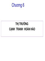 bài giảng kinh tế vi mô chương 6 ppsx