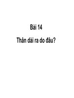 Bài giảng điện tử môn sinh học: Sự phát triển của thân cây docx