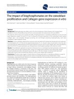 báo cáo khoa học: 