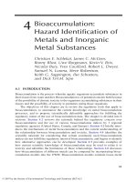 Assessing the Hazard of Metals and Inorganic Metal Substances in Aquatic and Terrestrial Systems - Chapter 4 pptx