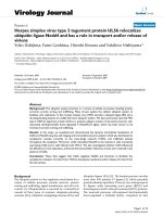 Báo cáo khoa học: 