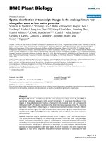 báo cáo khoa học: 