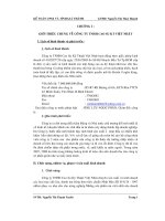 Kế toán chi phí sản xuất và tính giá thành tại công ty TNHH cao su kỹ thuật việt nhật