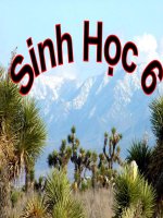 giáo án bồi dưỡng sinh học 6 đặc điểm bên ngoài của lá