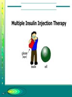 multiple insulin injection therapy