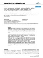 báo cáo khoa học: 