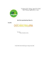 Chức năng RNAi, sirNA