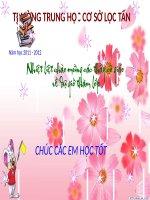 giáo án bồi dưỡng sinh học 6 thân to ra do đâu