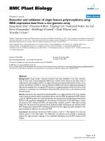 báo cáo khoa học: 