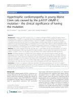 Báo cáo khoa học: 