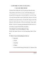 chiến lược marketing của công ty cocacola