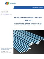 báo cáo cập nhật tình hình kinh doanh năm 2012 các doanh nghiệp niêm yết ngành thép ngày cập nhật 27 tháng 3 năm 2013 ngành thép công ty cổ phần chứng khoán fpt