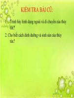 giáo án sinh học lớp 7 tham khảo sự đa dạng của ngành ruột khoang