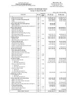công ty cổ phần sông đà 2 bảng cân đối kế toán 31 tháng 3 năm 2012 báo cáo lưu chuyển tiền tệ báo cáo kết quả hoạt động kinh doanh báo cáo tài chính từ 1 tháng 1 năm 2012 đến 31 tháng 3 năm 2012