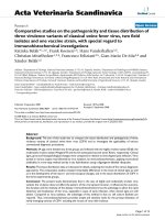 Báo cáo khoa học: 