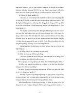 Đề tài phân tích rủi ro tín dụng trong trung và dài hạn của ngân hàng đầu tư và phát triển - 4 pps