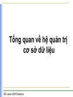 Tổng quan về hệ quản trị cơ sở dữ liệu pps