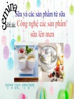 Tiểu luận công nghệ các sản phẩm sữa lên men