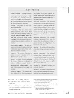 Science of Everyday Things Vol. 2 - Physics Episode 3 pps