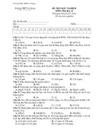 ĐỀ THI TRẮC NGHIỆM MÔN: Hóa Học 11 ppsx