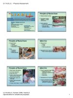 physical assessment handout color 6 per pg