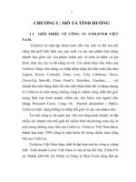 chiến lược kinh doanh của công ty UNILEVER