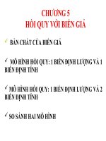 CHƯƠNG 5 HỒI QUY VỚI BIẾN GIẢ ppsx
