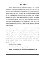 HOÀN THIỆN CHIẾN lược MARKETING CHO CÔNG TY BÁNH kẹo hải hà tại THỊ TRƯỜNG đà NẴNGi