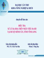 Tiểu luận điều TRA xử lý RA HOA TRÊN NHÃN TIÊU DA bò tại HUYỆN BÌNH tân TỈNH VĨNH LONG